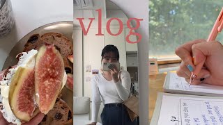 [VLOG] 임고생 브이로그 | 일상 브이로그 | 자취 브이로그 | 연휴 3일동안 25시간 공부하기 | 자취생 혼자서 보내는 추석 | 신라면 투움바 | 바질크림리조또 | 무화과