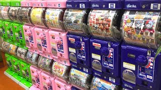 日本扭蛋机奇趣蛋 面包超人米菲兔森贝尔家族  Gashapon machines Anpanman Miffy  Sylvanian Families