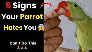 5 Signs that your Parrot Hates You || आपका तोता आपको क्यों पसंद नहीं करता है ?