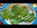 betel leaves benefits નાગરવેલ ના પાનના ફાયદા બાળકો માટે નાગરવેલનાં પાનનાં ફાયદા