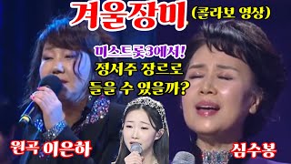 겨울장미 - 이은하 심수봉 콜라보 영상/ 미스트롯3 정서주 음색으로 들을 수 있을까?