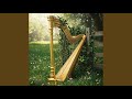 Harp Dawn