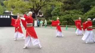 さがさこい連～第10回太宰府門前真舞祭