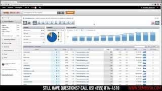 SEMrush Organic Position Report
