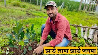 zade lava zade jagava | झाडे लावा झाडे जगवा | Dnyaneshwar Aswale | शिंदे नर्सरी कोल्हापूर