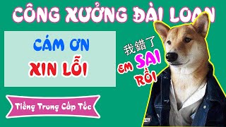 Bài 3: Cám ơn, xin lỗi và 1 số mẫu cơ cơ bản | Tiếng Trung cấp tốc