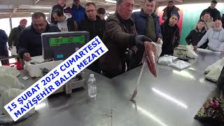 15 ŞUBAT CUMARTESİ. MAVİŞEHİR BALIK MEZATINDA BALIK AZ ÇEŞİT BOLDU.