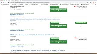 Pay Property Taxes Online with Ease