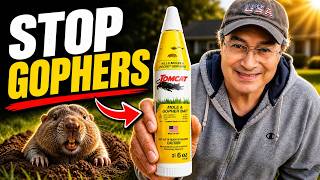 How To Get Rid Of Gophers And Moles In Your Yard