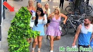 BUSHMAN PRANK THE MOST UNFORGETTABLE DAY 🤣🤣 | MR GREEN PRANK