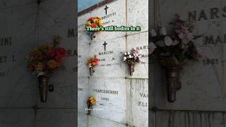 We Found A Terrifying Abandoned Cemetery
