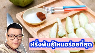 ฝรั่งพันธุ์ไหน อร่อยที่สุด คลิปนี้มีคำตอบ ใครกำลังสนใจปลูกฝรั่งเชิญชม | พี่ต้อม เกษตรอินทรีย์