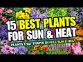 🌞😱 SUN & HEAT WARRIORS! 15 Best Plants That Thrive in Full Sun & Scorching Heat 🌼✨