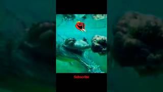 (7☠) crocodile trollface aura edit #crocodile #troll #phonk #short