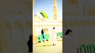 New Video Madina Sharif🌹🌷🥀🌴🌻🌺🌼💮🏵️ #Short #trending #viral #islam #status