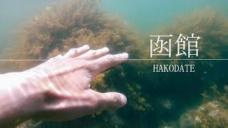 【GoPro Hero7】水中映像　北海道函館市-Hokkaido Japan (Hakodate)