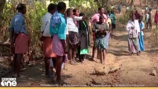 കാട്ടാന ശല്യം രൂക്ഷമായ കണ്ണൂർ ആറളത്ത് ഇന്ന് സർവ്വകക്ഷി യോഗം | all party meeting kannur