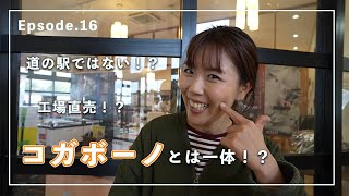 道の駅ではない？？古賀市の買い物スポット。工場直売これがコガボーノだ！！【Episode.16】