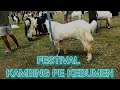 SUASANA FESTIVAL KAMBING PE KABUPATEN KEBUMEN