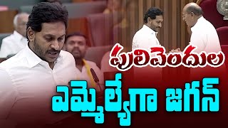 పులివెందుల పులి ప్రమాణస్వీకారం || Pulivendhula MLA Jagan Swearing in || HECH NEWS