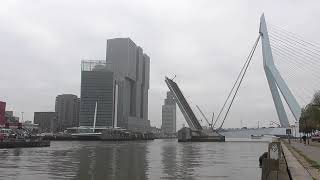 Brugopening Erasmusbrug Basculebrug/ Drawbridge/ Pont Basculant/ Zugbrücke Rotterdam