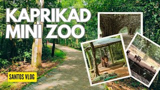 Kaprikad Mini Zoo | Ernakulam | Abhayaranyam Eco-Tourism Centre #ecotourism #travel #forest #animals