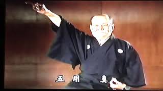 Mugai ryu Iaihyodo Shin - Shiokawa Hosho and Niina Gosoke