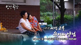 KBS1 인간극장 '어떤 고부 순이와 양님' 예고