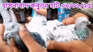 হাসনাবাদ কবুতর হাট ০৮-০১-২০২৫ | kobutor hat 2025 | pigeon market in bangladesh