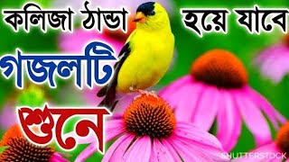 কলিজা ঠান্ডা হয়ে গেল গজল শুনে,Bangla New Gojol 2021,notun gojol,gojol,গজল ২০২১ #ghazaal