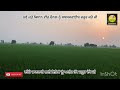 ਟੌਪ ਦੇ ਕੀਟਨਾਸ਼ਕ 100% result ਦੇਣ ਵਾਲੇ best insecticide for paddy