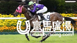 20210519 「陽明高高」勝出後練馬師呂健威訪問