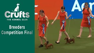 Breeders Competition Final - ​Crufts 2023