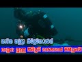 Sri Lanka Navy Divers || Sri Lanka Navy || Navy Divers || SL Navy || Sri Lanka Navy Divers Deeper