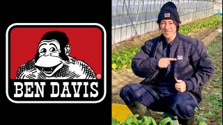 【BEN DAVIS】農作業着はベンデイビス