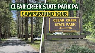 Clear Creek State Park Campground Tour (PA) | Cabins, Yurts, RV & Tent & Riverfront Sites
