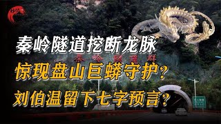 秦岭隧道挖断龙脉，惊现盘山巨蟒守护，刘伯温早有七字预言？