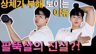 상체가 통통해 보이는 이유, 팔뚝살과 관련 있다! 하지만 남들이 말하는 팔뚝살 빼기 운동.... 진실은? 팔뚝살 관리 따로 필요없다?