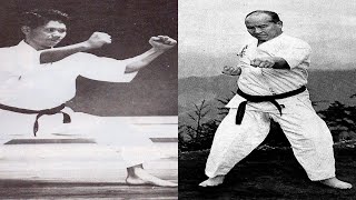 The Difference Between Shotokan & Kyokushin