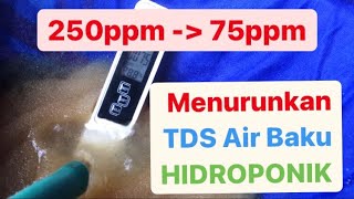 AIR BAKU HIDROPONIK WAJIB DIBAWAH 100ppm!