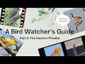 Birdwatcher's Guide - Part 2