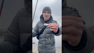 Ловим с первого заброса🎣День 5. #fishing #рыбалка #щука