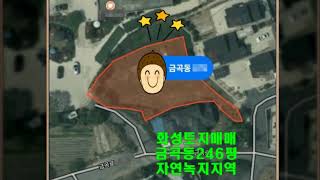 화성시 금곡동 토지 매매  - 동탄 인근 자연녹지지역 (전) 246평