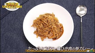 「たっぷりごぼうと鶏ひき肉の炒(チャー)カレー」カゴシマンスパイスカレー