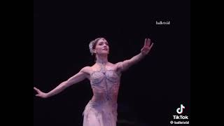 Marianela Nunez La Bayadere Ballet