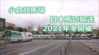 小倉競馬場/日本馬匹輸送の馬運車/2021年冬開催