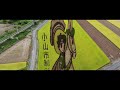 mavic airで栃木県小山市 ９月の田んぼアート 美田会場を空撮 flight31