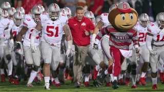 Being Brutus Buckeye