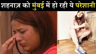 मुंबई में रहना शहनाज़ के लिए नहीं आसान, ये है वजह| Shehnaaz Gill Facing Trouble In Mumbai| Final Cut