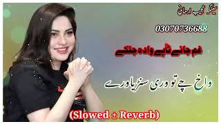 Pashto New Sad Tapay 2023/ Singer Najeeb Armani /Wakh Che To Wari Sanryawary/ #pashtosong #song